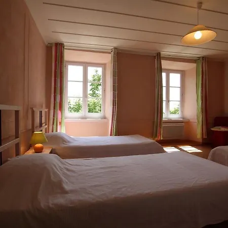 Avec Grande Terrasse, Pres De Lavaudieu Et Accessible Pmr - Fr-1-582-217 Holiday home Mazerat-Aurouze